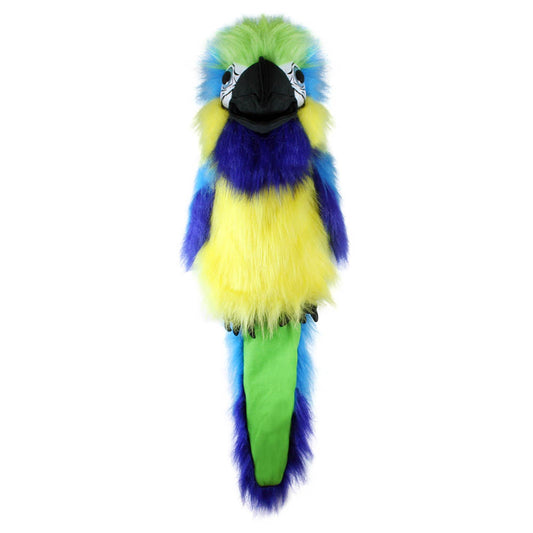 Blue and Gold Macaw hand puppet by The Puppet Company in vivid blue and yellow plumage